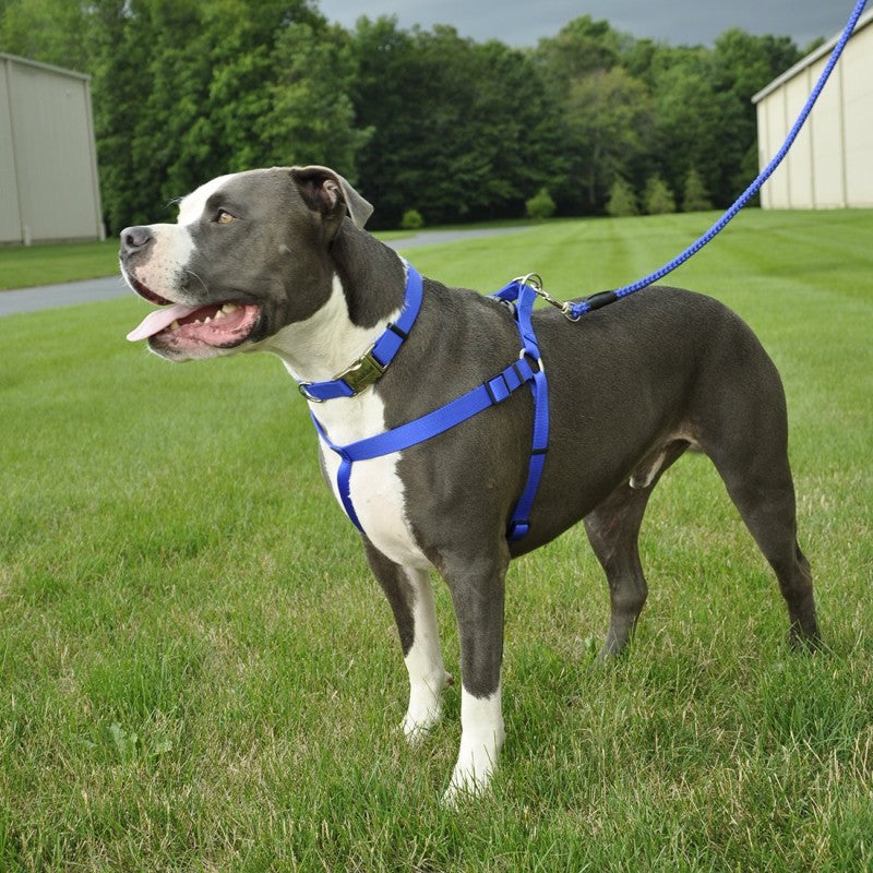 Puppy Harness